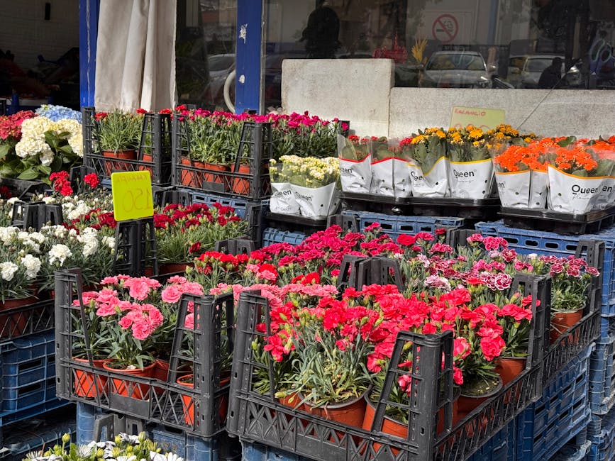 Exterior view of a flower stall displaying a variety of freshly potted flowering plants, including pink, white, red, yellow, and orange blooms, organized in black plastic crates. The plants are in ter